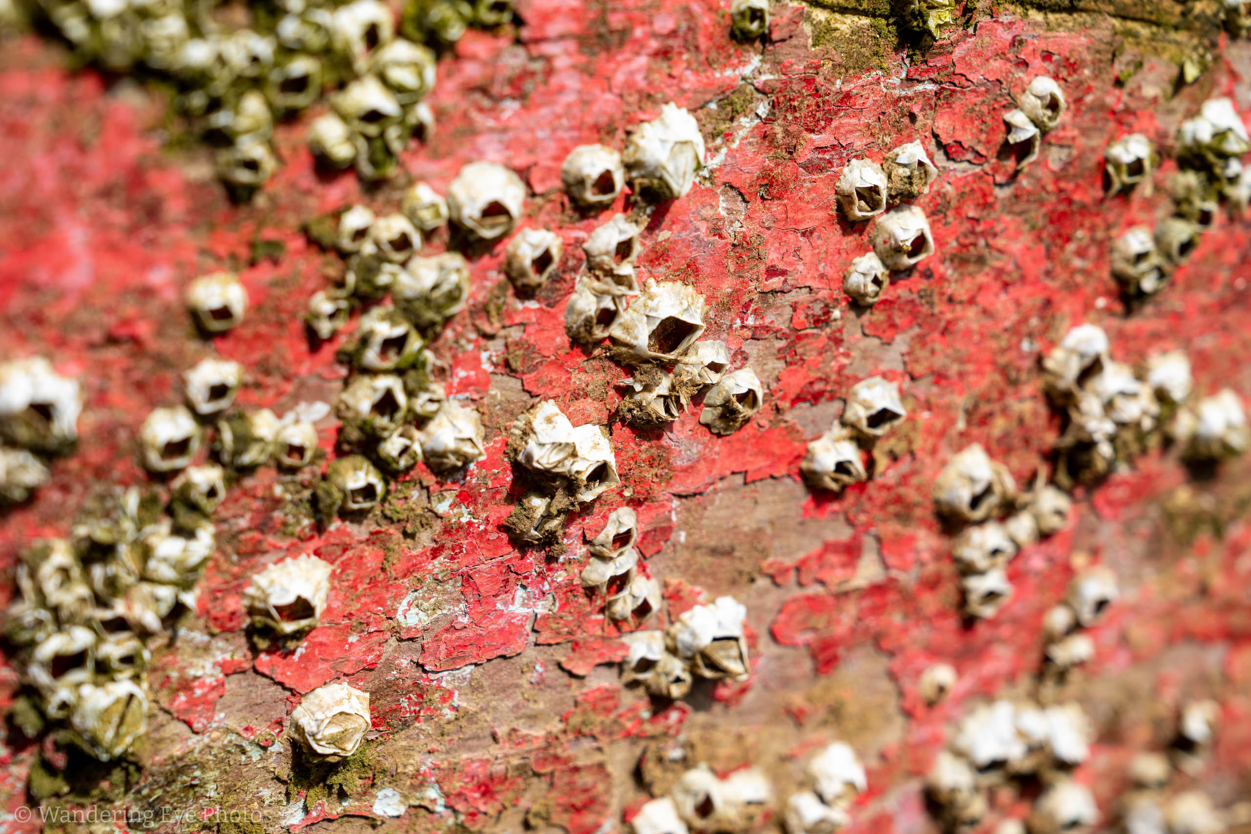 03.24 09.14.43   DSC07949